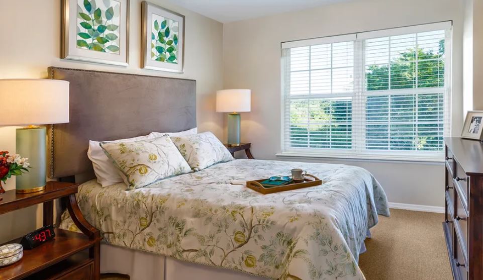 1 Bed