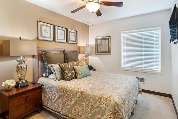 1 Bed