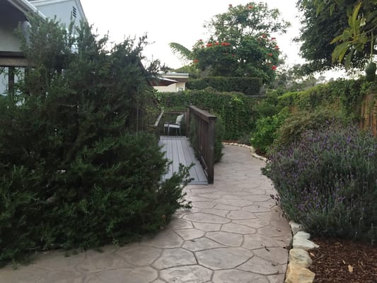 Serene garden path with lush greenery