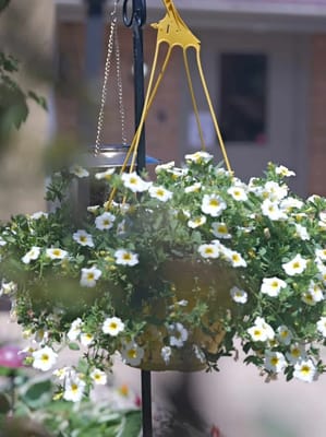 Meadow View Assisted Living & Memory Care