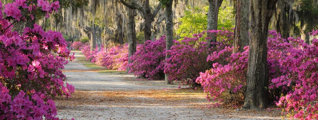 Wesley Woods of Augusta‘s St. John Towers