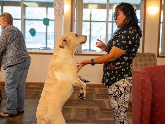 Staff member interacting with a dog in a common area
