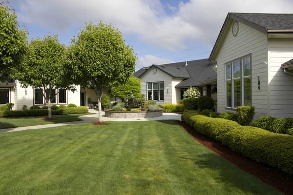 A well-maintained outdoor garden space with trees and lawn