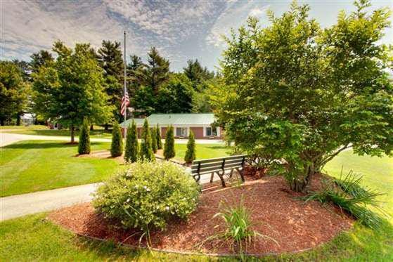 Lush garden with a bench in an outdoor area
