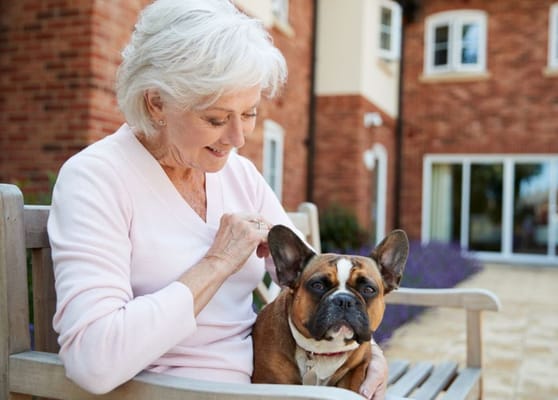 Resident enjoying time with a dog in a garden