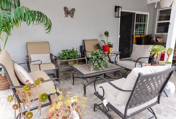 Seating area with plants and comfortable chairs