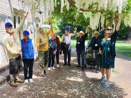 Residents enjoying an outdoor activity under flowering trees