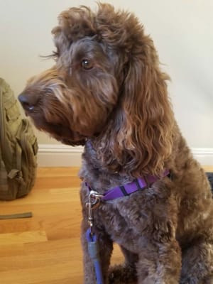 A Caring Touch Board and Care