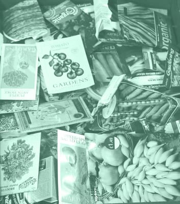 Artis Senior Living of Somers