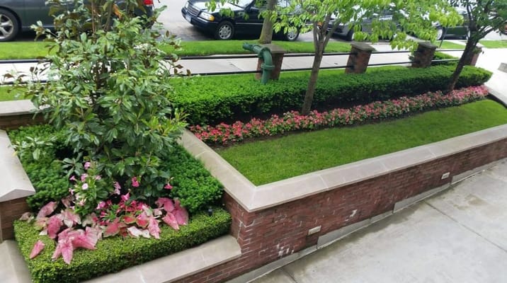 Well-maintained garden area with flowers and greenery