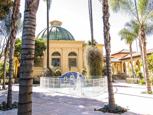 Outdoor courtyard with a fountain and palm trees