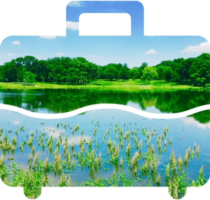 Golden Haven Senior Living – The Hidden Gem in Addison, Illinois