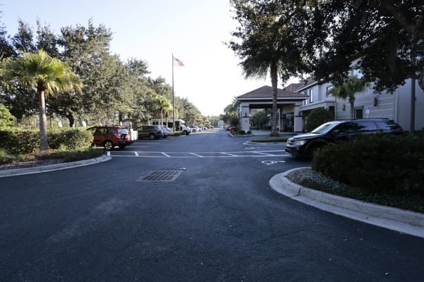View of the entrance driveway with palm trees and cars.