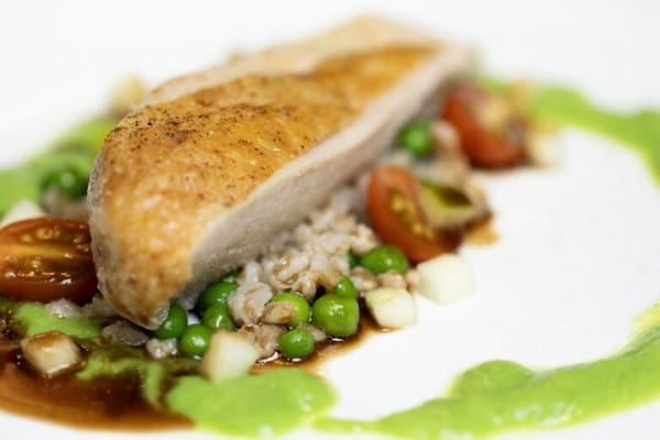 Arbor Terrace of Athens