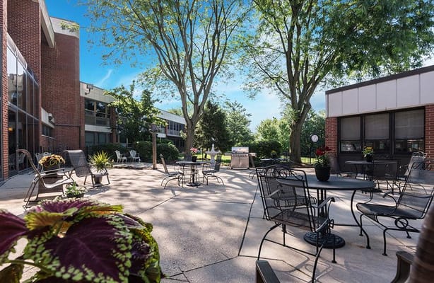 Outdoor space with seating and greenery