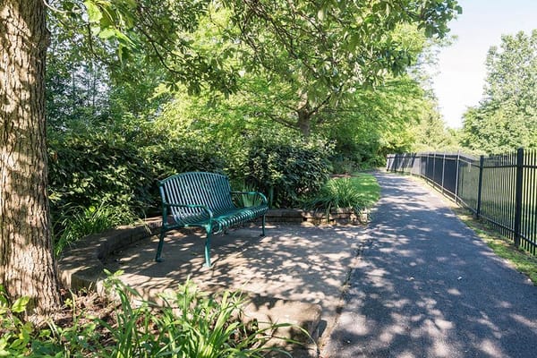 A peaceful outdoor seating area shaded by trees