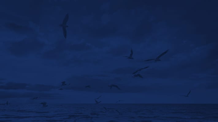 Northern Manhattan Nursing Home