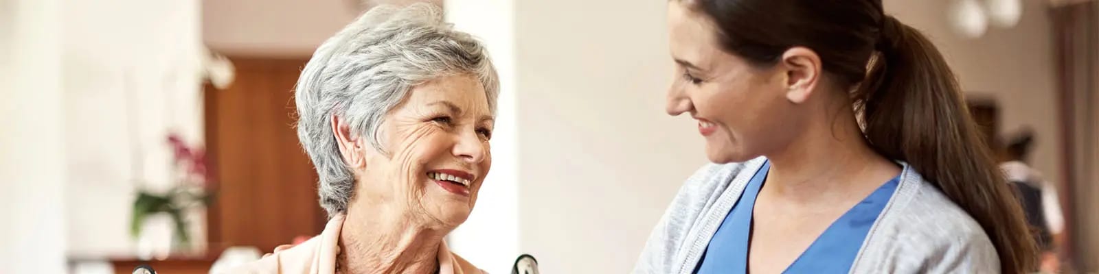 Traditions at North Willow