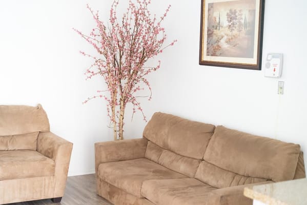 Cozy common area with beige couches and decorative tree