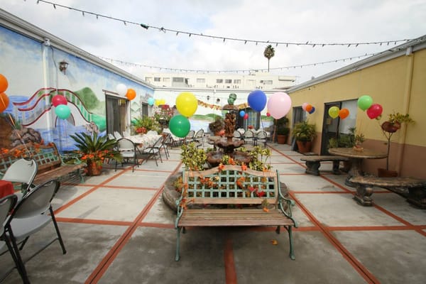 Outdoor garden space decorated for a celebration