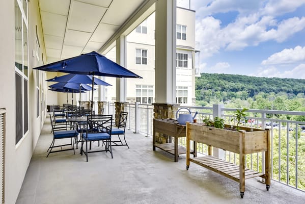 Outdoor seating area with blue umbrellas and greenery
