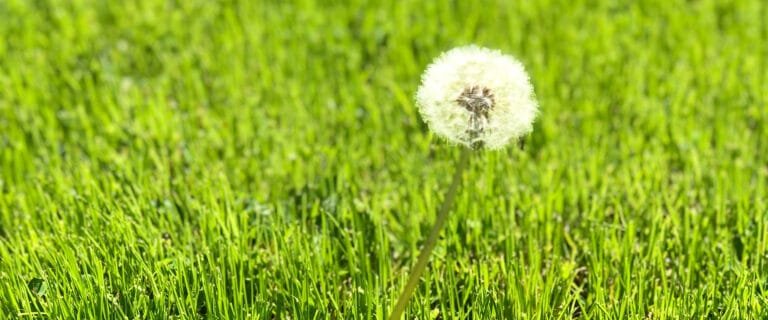 Evergreen Retirement Residence