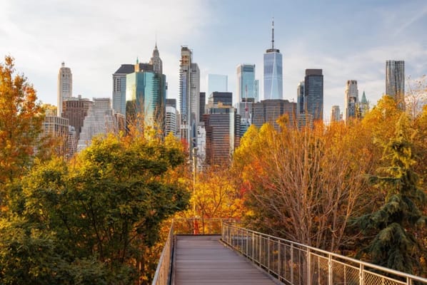 Downtown Brooklyn Nursing and Rehabilitation