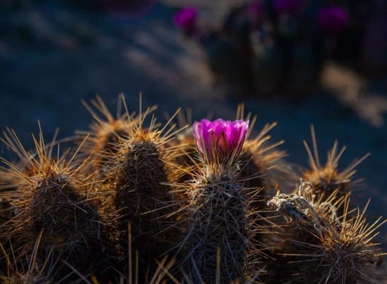 Heritage Oaks Assisted Living Residence