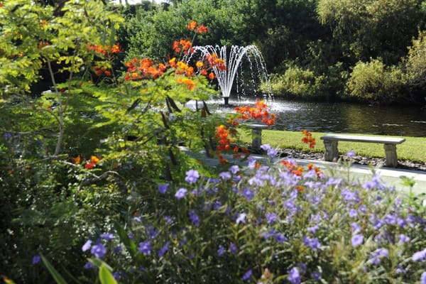 Vibrant garden with a fountain and colorful flowers