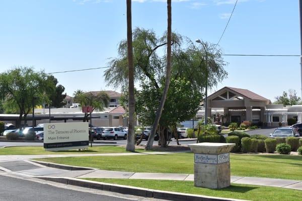 Main entrance sign of The Terraces of Phoenix with parking lot and palm trees.