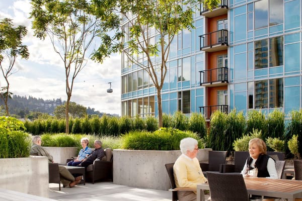 Residents enjoying a sunny outdoor space with greenery