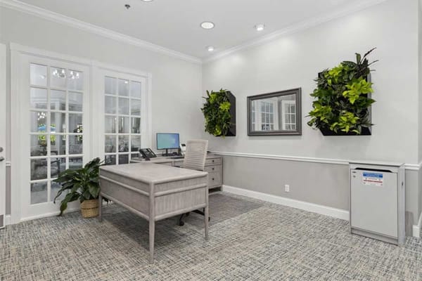 Interior view of an office space with plants and a desk