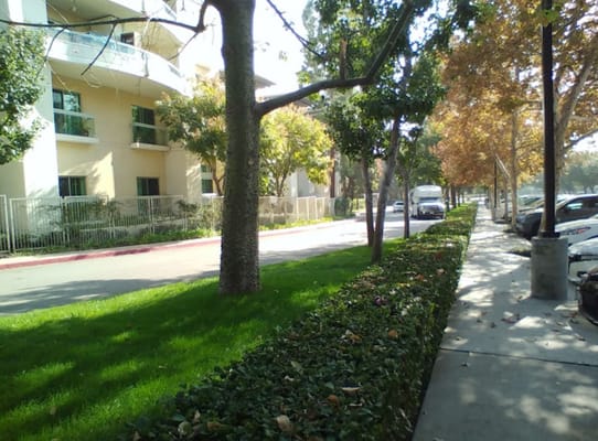 Exterior view showing landscaped area and sidewalk at Villa Gardens Health Center.