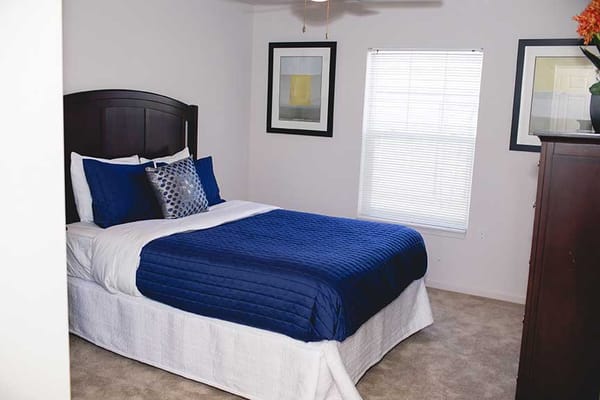 Cozy private bedroom with blue bedding and art