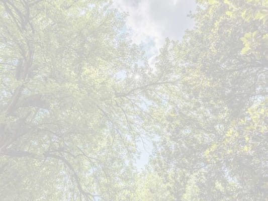 The Altenheim Senior Health Care Community