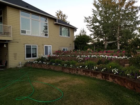 View of the back exterior and garden area of a facility