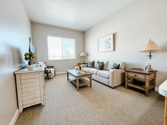Cozy interior living room with sofa and lamp