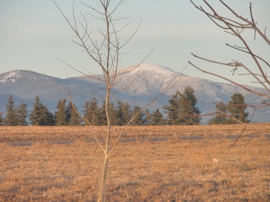 Lena‘s Gentle Care