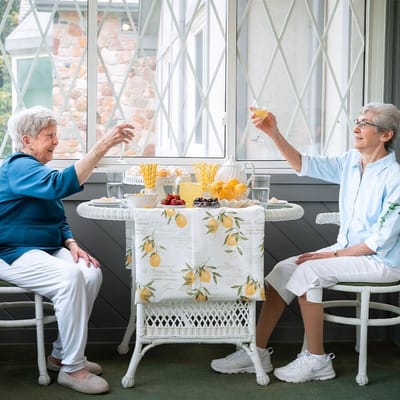 Two residents toasting with drinks in a bright sunroom
