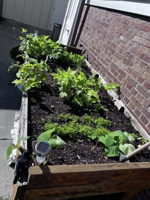 The Suites at Algiers Point Assisted Living & Memory Care