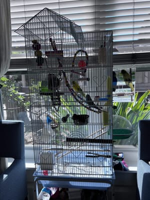 The Suites at Algiers Point Assisted Living & Memory Care