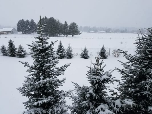 Lena‘s Gentle Care