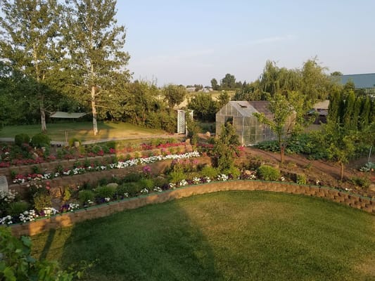 Beautiful outdoor garden space with colorful flowers