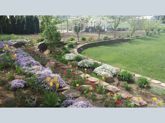 Beautiful garden area with colorful flowers