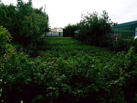 Lena‘s Gentle Care