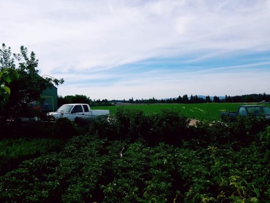 Lena‘s Gentle Care