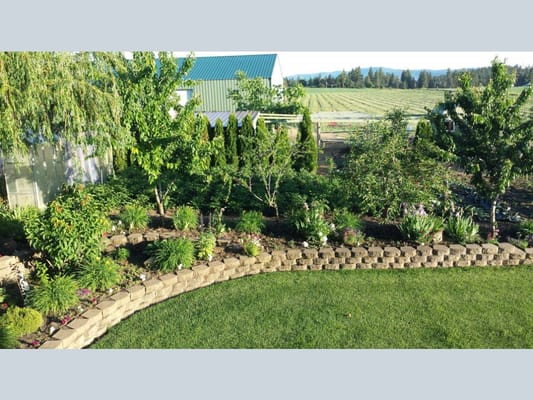 Beautifully landscaped garden in a serene outdoor space