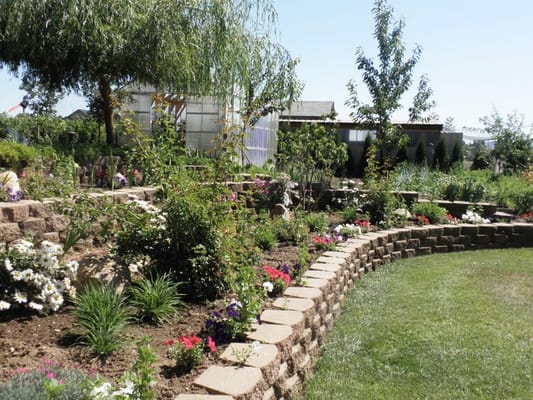 Beautiful garden area with colorful flowers and pathways