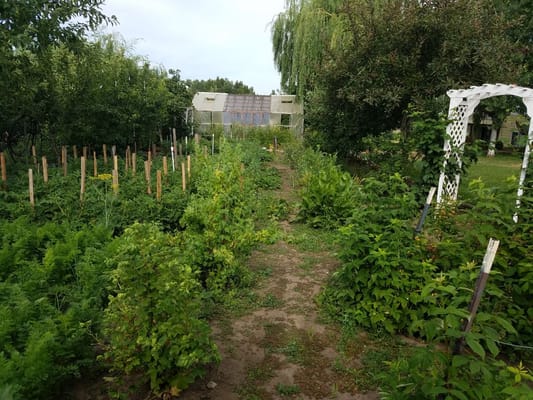 Pathway through a lush garden at the facility