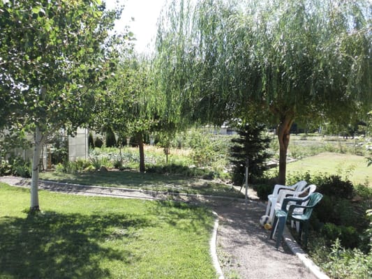 A serene garden area with chairs for residents